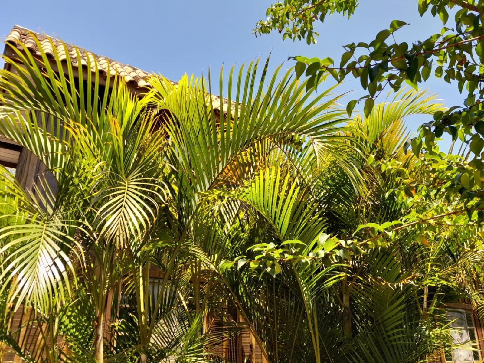 Recanto Das Bromelias Chales Гуарда-ду-Эмбау Экстерьер фото